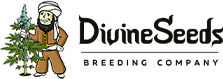 Divine_Logo_New2