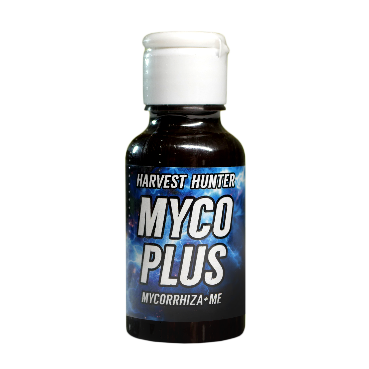 harvest hunter mycelium of mycorrhizal