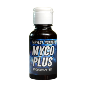 mycelium of mycorrhizal